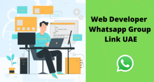 Web Developer WhatsApp