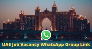 UAE Job Vacancy WhatsApp