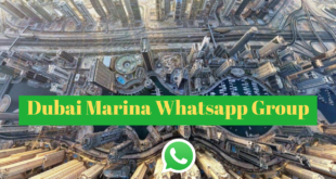 Dubai Marina Whatsapp Group