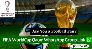 FIFA WorldCup Qatar WhatsApp