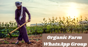 Organic Farm WhatsApp Group